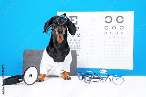 Funny dachshund dog ophthalmologist in doctors costume with glasses for vision correction sideways on head, professional equipment on the desktop, poster with letters for eye chart test on background photo
