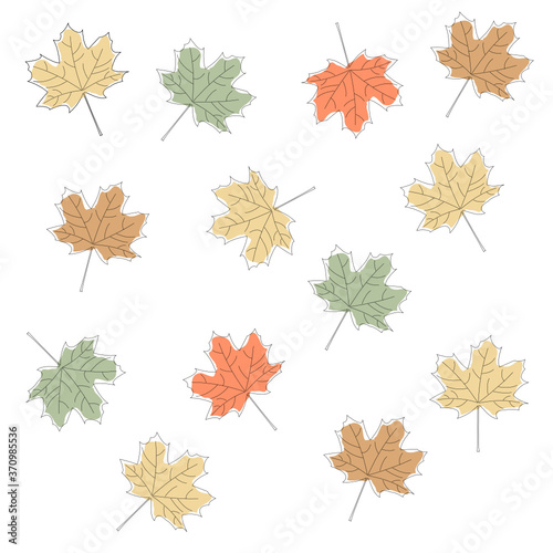 autumn leaves on white background