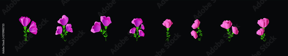 set of flowers of peas on a black background on with various model. vector illustration set of flowers of peas on a black background on with various model. vector illustration