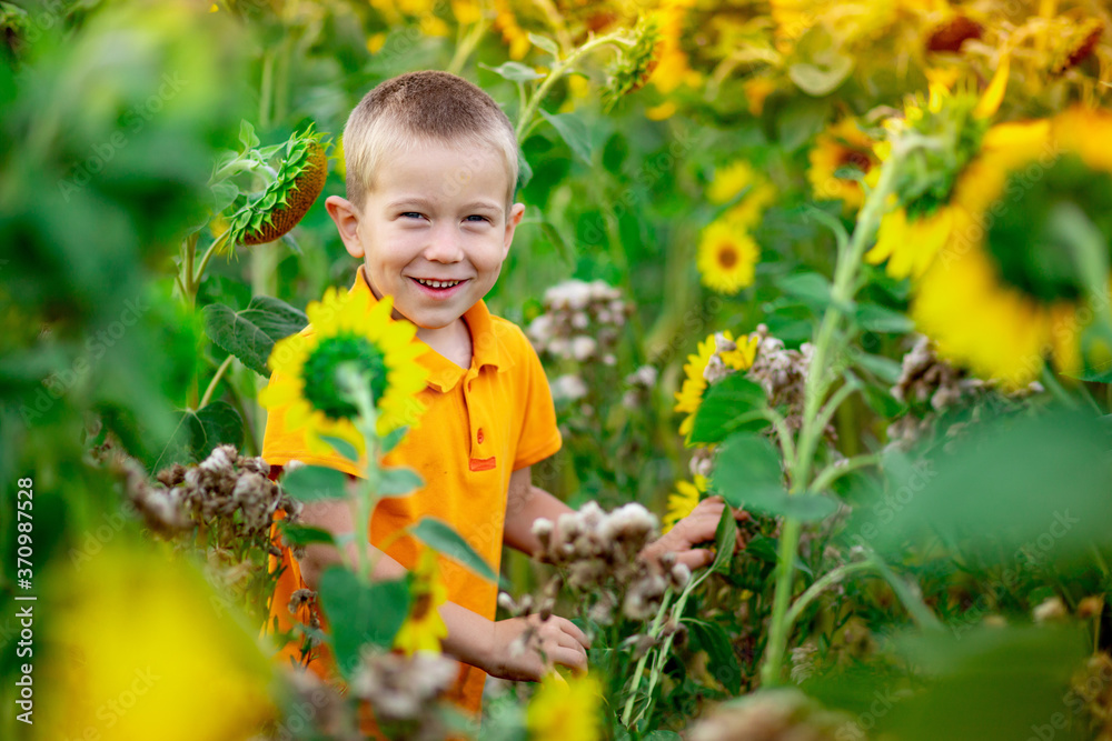 happy baby boy blond sitting in a field with sunflowers in summer, children's lifestyle
