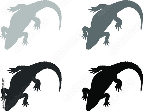 black silhouettes of alligator