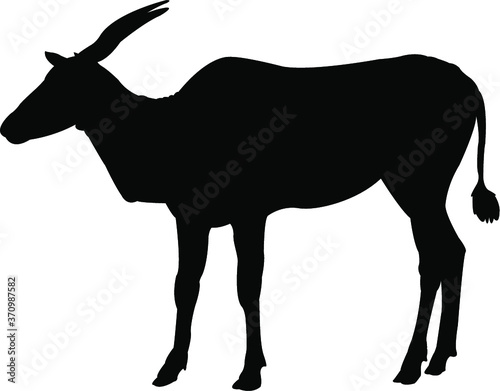 vector silhouette of an antelope