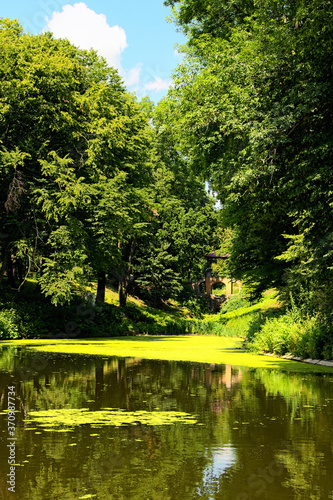 Gorgeous summer nature landscape. Picturesque pond with lily pads on the surface and old brick bridge called Chinese Bridge in the background. Arboretum Oleksandriya in Bila Tserkva  Ukraine