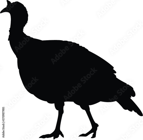 turkey silhouette vector