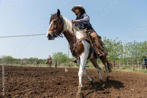 Western cowboys riding horses, roping wild cow. Cowboys riding horses running on a sandy ground. photo