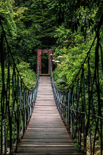 Landscape view of Long Steel Suspension bridge in the forest