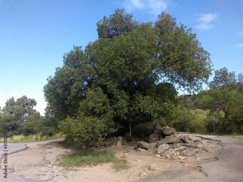 Reserva florofaunistica Rincón del Este, Merlo, San Luis, Argentina Reserva florofaunistica Rincón del Este, Merlo, San Luis, Argentina