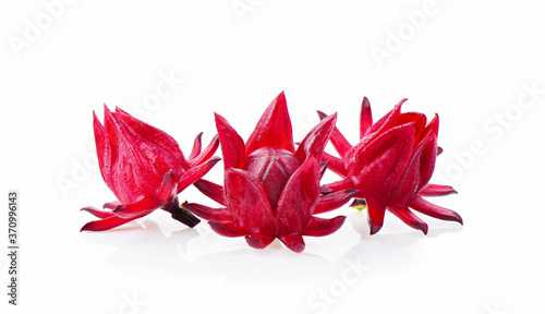 Roselle on a white background