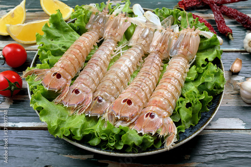 canocchie, o cicale di mare crude in piatto su letto di insalata verde