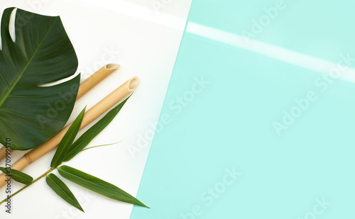 Tropical palm tree leaf and flower on a isolate background. Vibrant minimal fashion concept. Design with copy space