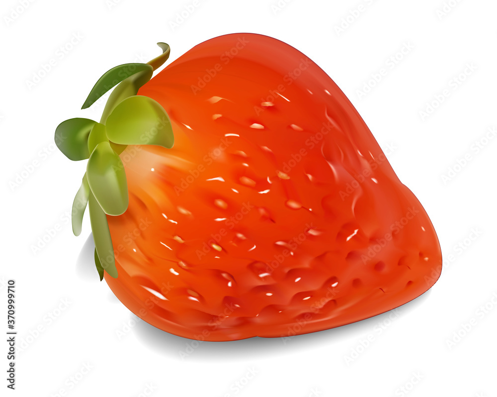 イチゴ 甘酸っぱい果物 背景は透明 Stock Vector Adobe Stock