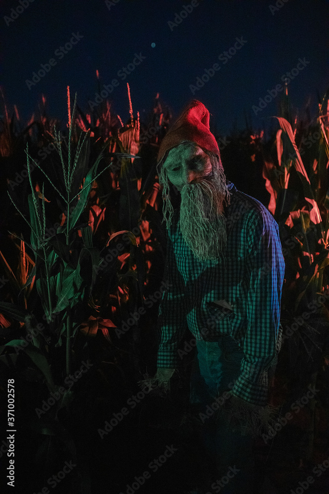Walking dead zombie stands in cornfield with red hat.
