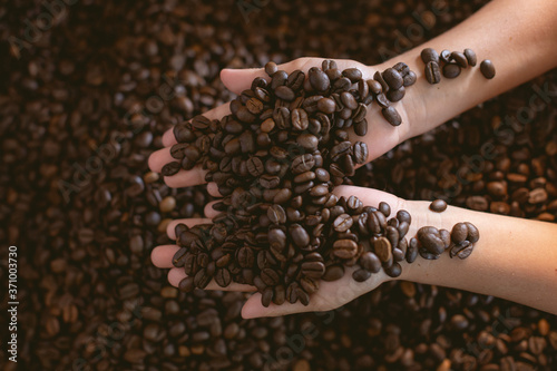 Kid hand holding roasted coffee beans