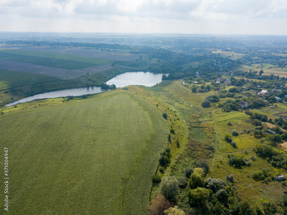 Naklejka premium Aerial drone view. Ukrainian green corn field on a summer day.