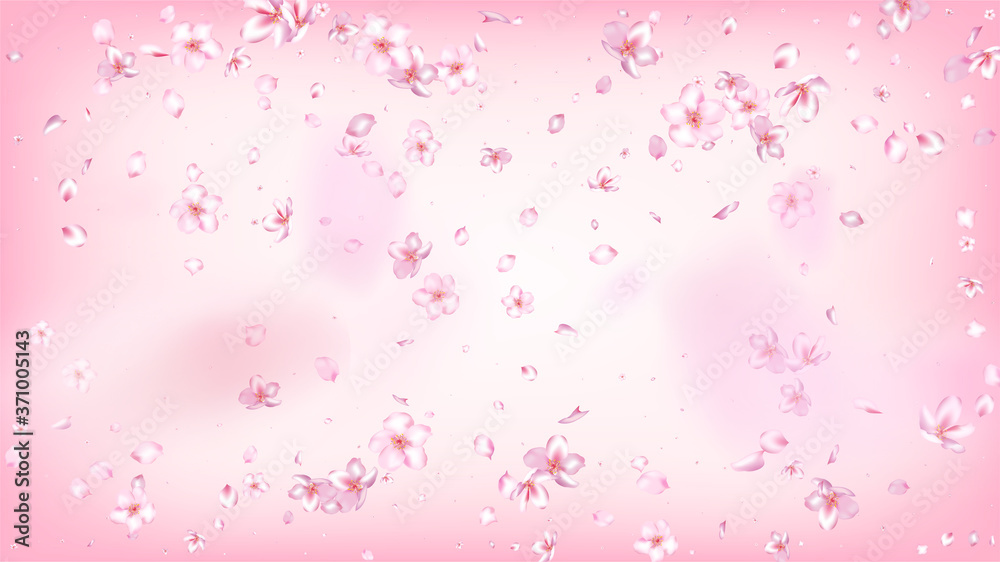 Nice Sakura Blossom Isolated Vector. Pastel Showering 3d Petals Wedding Texture. Japanese Oriental Flowers Illustration. Valentine, Mother's Day Watercolor Nice Sakura Blossom Isolated on Rose