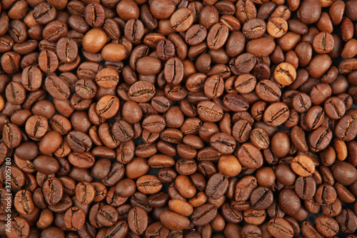 coffee beans on a colored background. Place to insert text, minimalism 