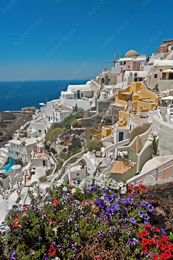 Greece Oia panorama with Petunias at front