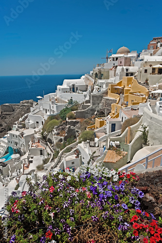 Greece Oia panorama with Petunias at front photo