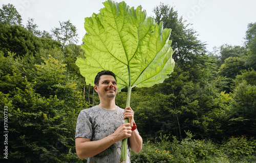 Man holding gigantic burdock leaf in forest
