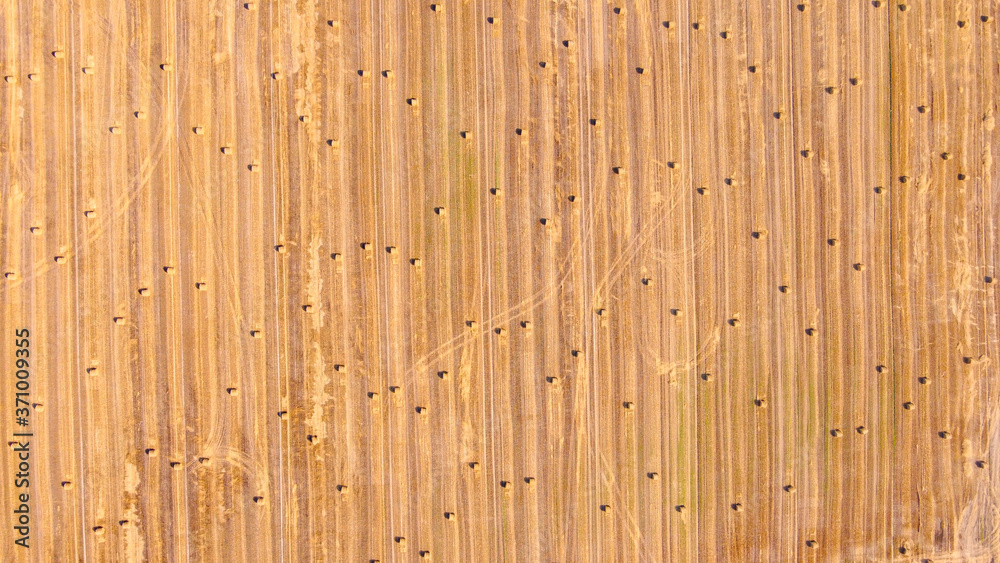 Aerial view at a wide agricultural field with many bales of straw on it. Aerial view at a wide agricultural field with many bales of straw on it.