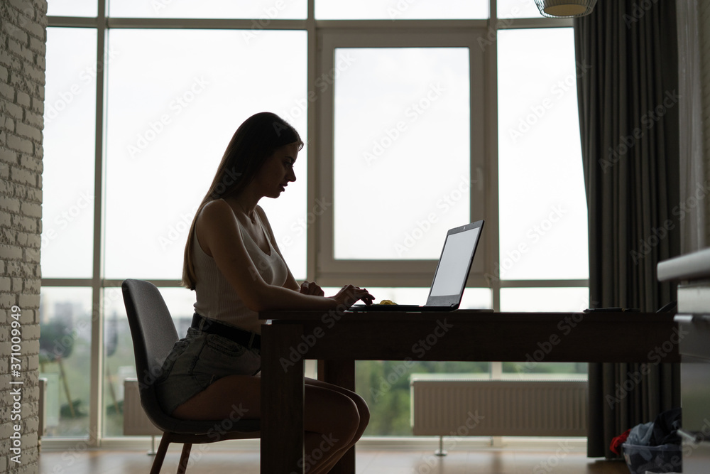 Naklejka premium Side view of creative woman freelancer sitting in front of laptop computer, young business woman working on netbook in modern hotel.