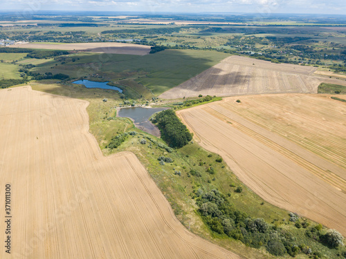 Ukrainian wheat field. Aerial drone view.