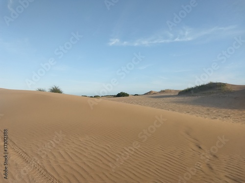 Medanos de arena en San Clemente de Tuyu