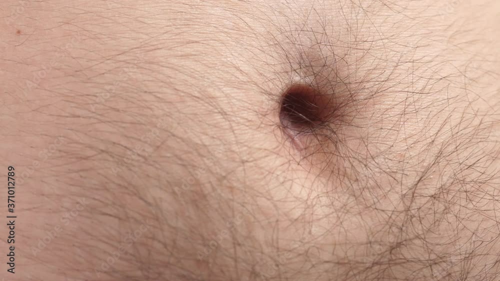 Closeup on the belly button of a young man. Human body part over a white screen background. Closeup on the belly button of a young man. Human body part over a white screen background.