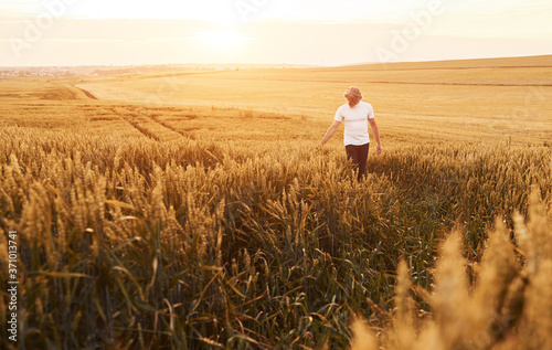 Having a walk. Portrait of senior stylish man with grey hair and beard on the agricultural field