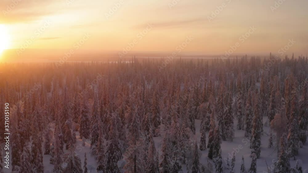 Aerial view from drone of snowy pines of endless coniferous forest trees in Lapland National park, bird’s eye top view of natural landmark in Riisitunturi on winter season hidden in fog at sunset
Aerial view from drone of snowy pines of endless coniferous forest trees in Lapland National park, bird’s eye top view of natural landmark in Riisitunturi on winter season hidden in fog at sunset