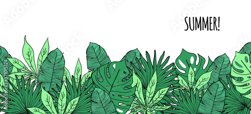 botanical illustration with tropical plants fern and monstera leaves 