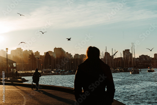 silhouette of people walking on the beach
