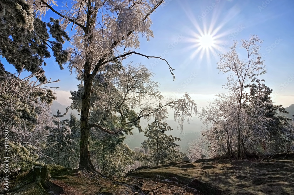 Elbsandsteingebirge im Winter - Elbe sandstone mountains in winter Elbsandsteingebirge im Winter - Elbe sandstone mountains in winter