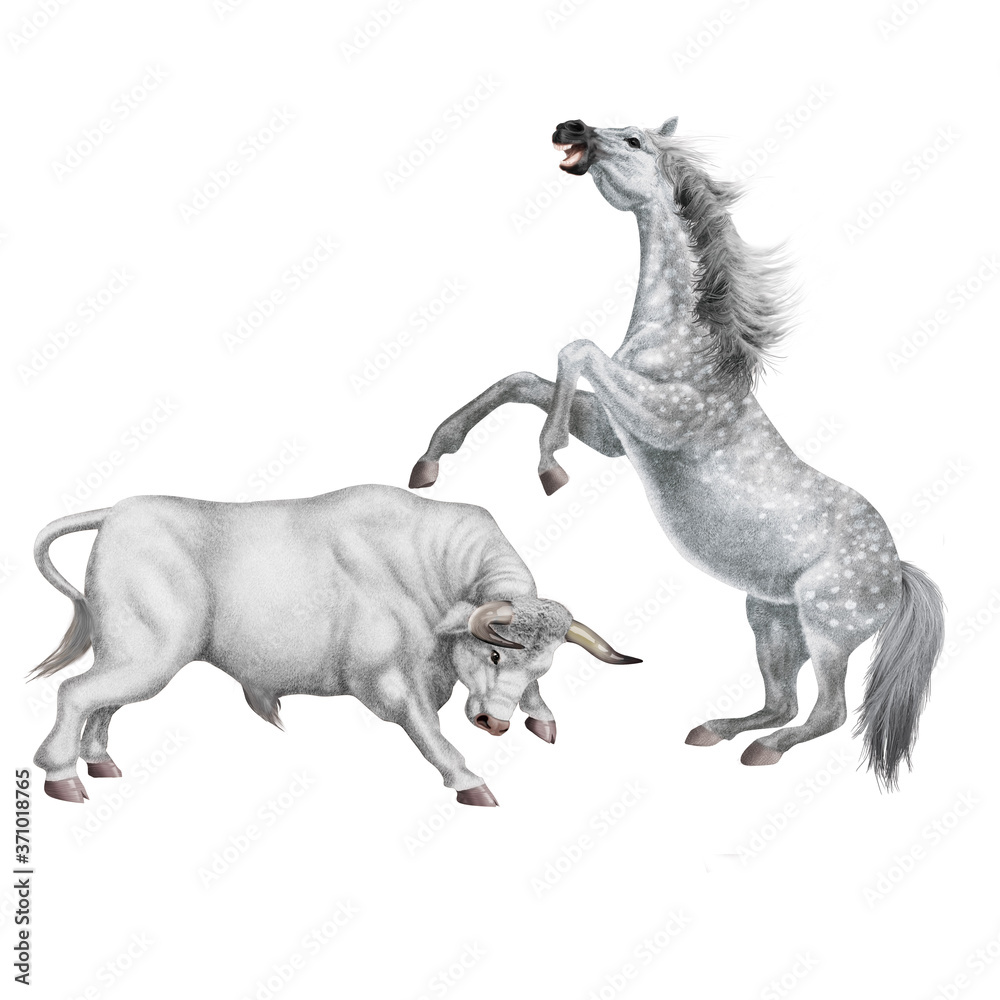 Fototapeta premium combat de cheval et le taureau blanc, force, attaque, debout, animal, brun, mammifère, joli, sauvage, agressive, dangereux, illustration, de race, ferme, fond blanc, coloré, fantastique, musclé, fort