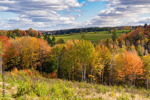 Fall foliage and the rolling hill of rural Prince Edward Island.