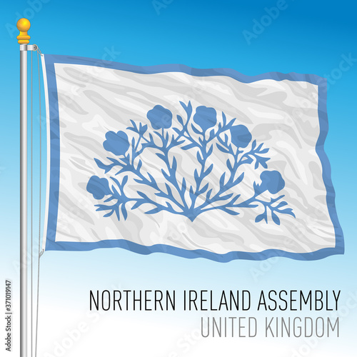 Northern Ireland Assembly flag, United Kingdom, vector illustration
