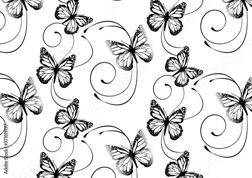 Set butterflies background. Entomological collection of highly detailed design butterfly. Retro vintage style pattern of Vector.