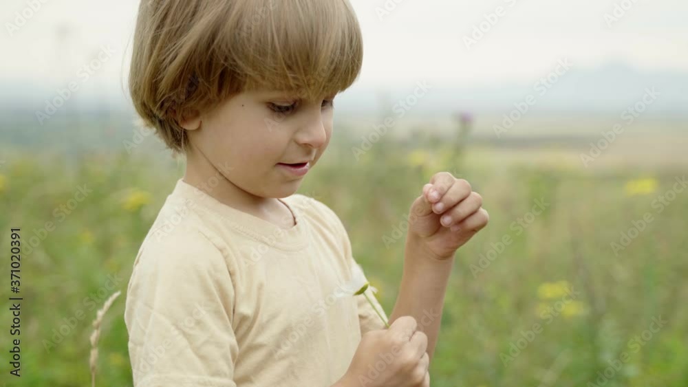 Little boy looks at a camomile. Child plays with a flower in the summer on the field. Little boy looks at a camomile. Child plays with a flower in the summer on the field.