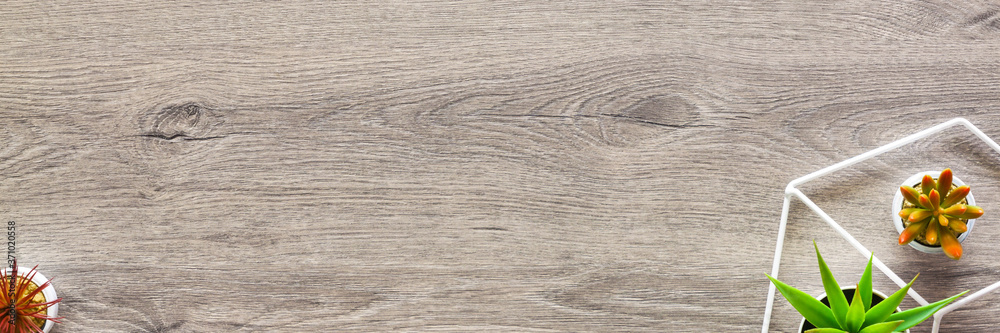 Naklejka premium Wooden home desk. Copy space. succulents, a geometric toolbox. View from above. Panorama.