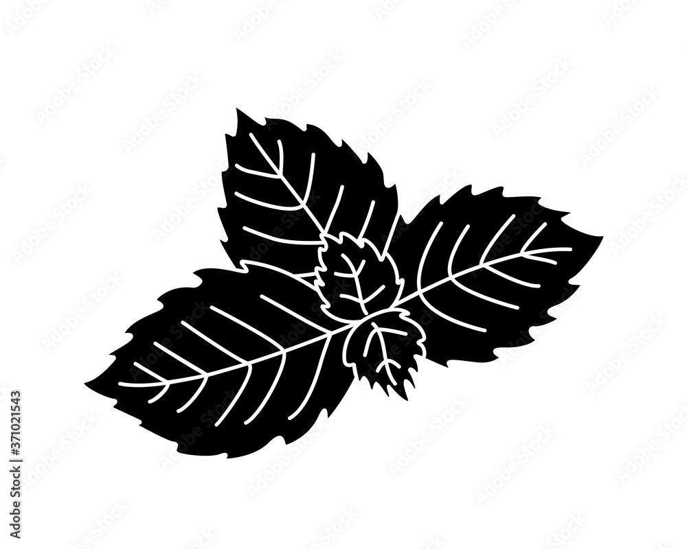 Mint leaves black vector silhouette for pictogram or logo. Peppermint