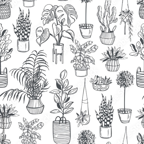 Hand drawn house plants. Vector seamless pattern.