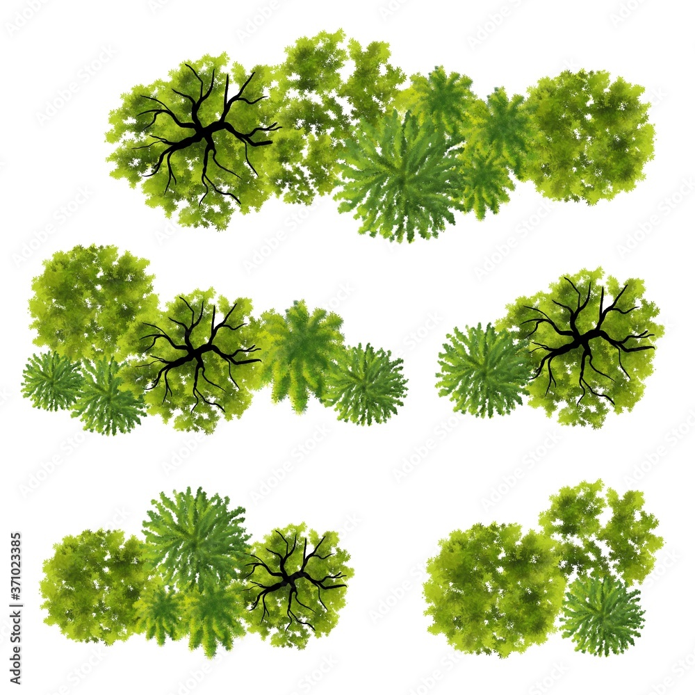 set of watercolor tree top view for landscape plan and architecture
