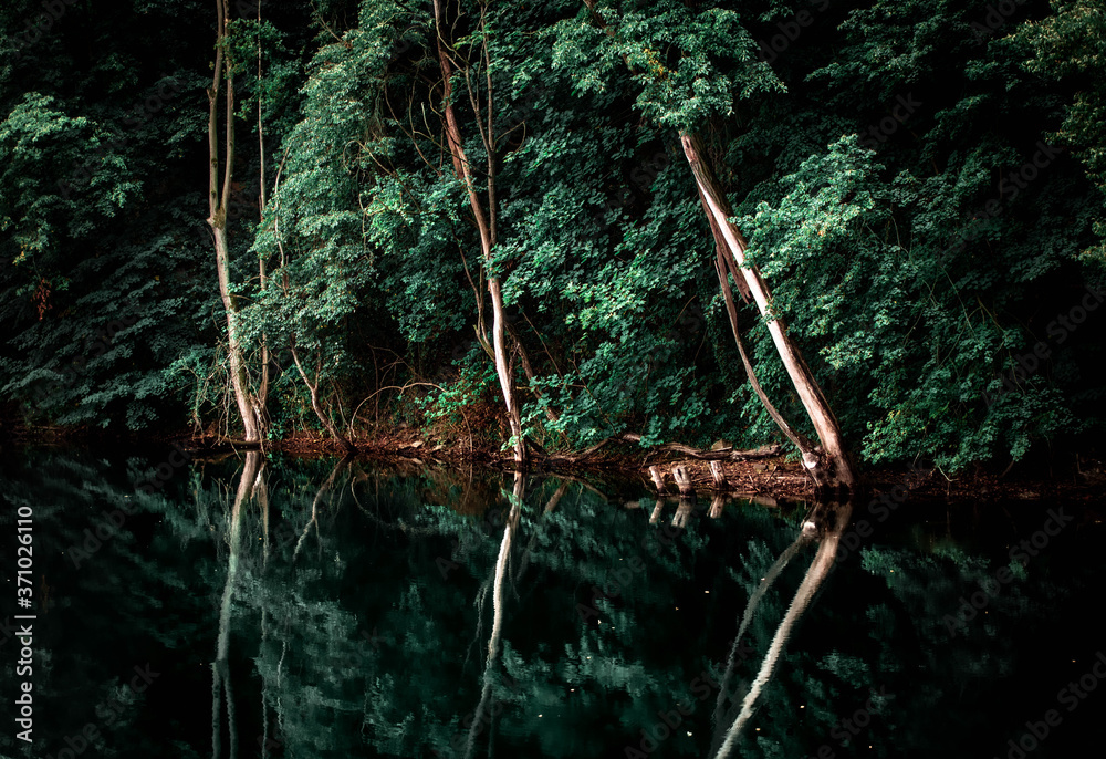 Naklejka premium Amazonas in Sachsen