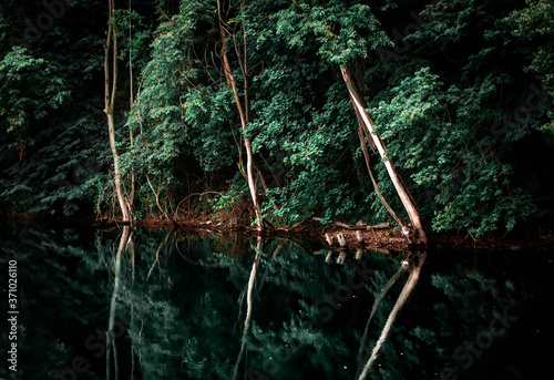 Amazonas in Sachsen © Jessica