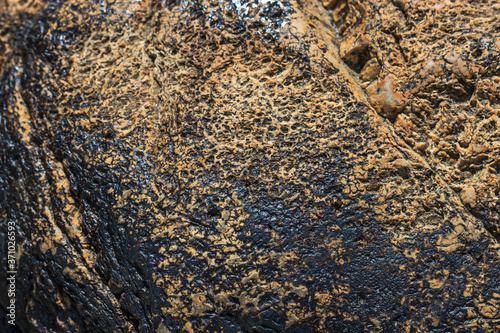 Natural texture: shiny black-yellow river stone in natural light on a sunny summer day.