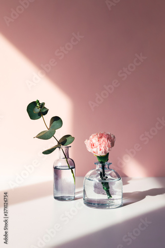 Fototapeta Naklejka Na Ścianę i Meble -  Two glass vases with a sprig of fresh eucalyptus and a rose standing on the table in the sunlight.