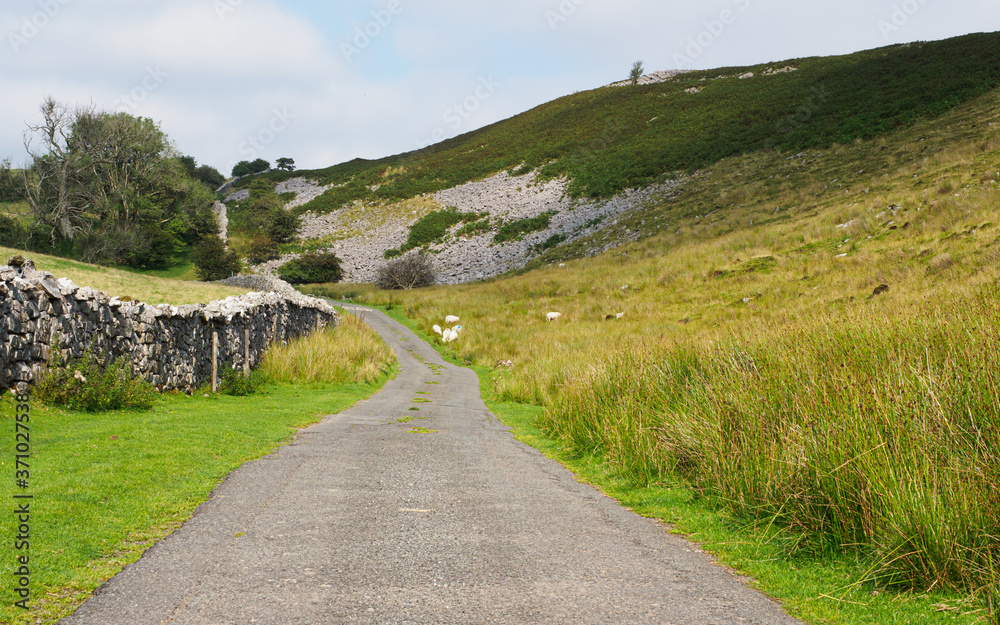 Welsh mountain road with stone wall and hill. Sheep grazing byu roadside.
