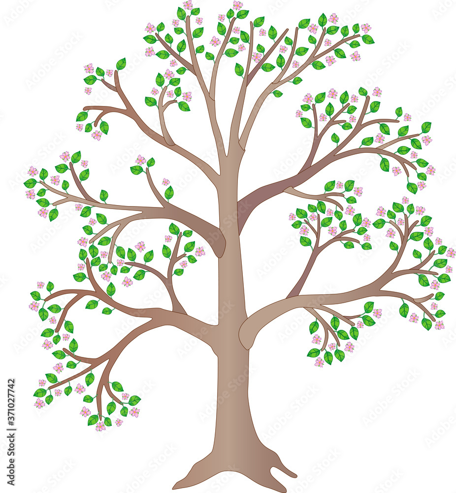 Wood. Blooming spring tree - full color picture. A plant with pink flowers and green leaves. A large spring tree. Wood. Blooming spring tree - full color picture. A plant with pink flowers and green leaves. A large spring tree.