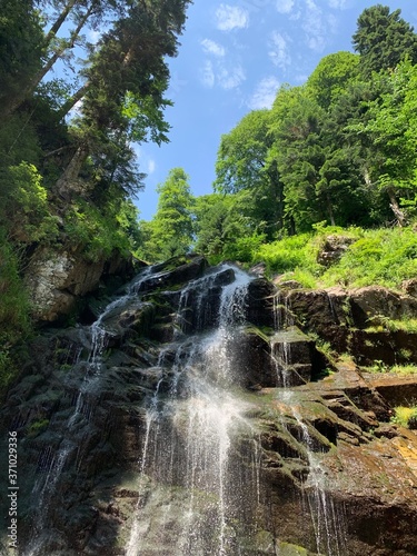 waterfall in the forest