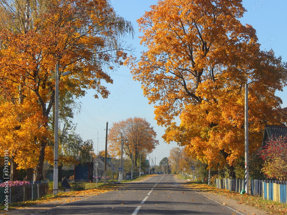 Φωτογραφία Empty dry country asphalt road with yellow green trees and old wooden fence on r